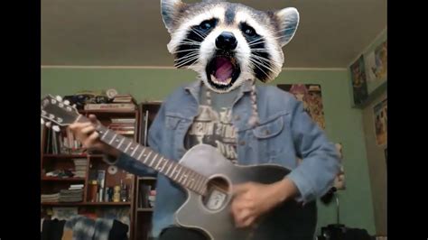 rocky racoon youtube|More.